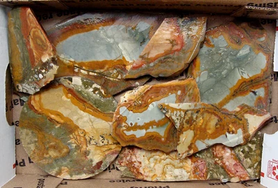 Cuadro escénico de 16 onzas (1 libra) de colinas rocosas de jaspe cabujones Oregon Foto 1 de 2