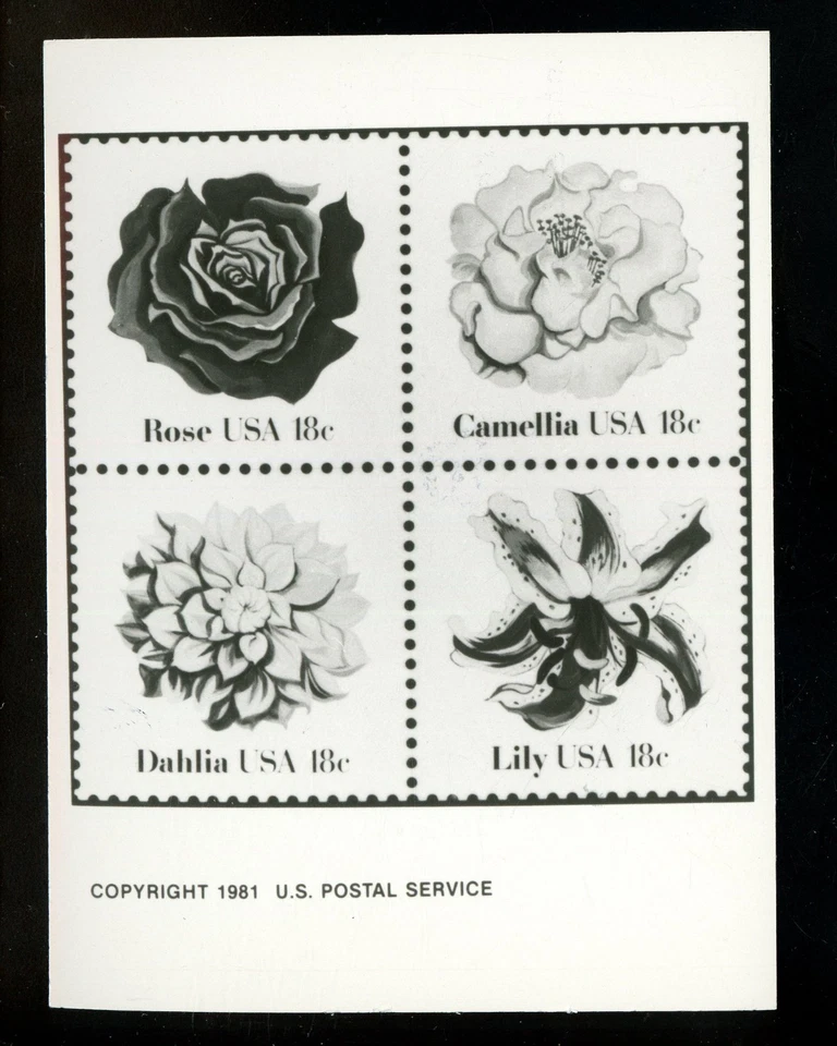 US Stamp FDC Publicity Photo Essay #1876-79 18c Flowers Roses block of 4 1981 - Image 1 of 1