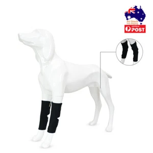 Pet Dog Knee Support Leg Brace Dog Front Back Leg Protector Hock Wrap Injury Aid - Picture 1 of 21