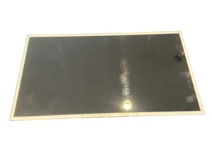 AU Optronics BW173RW01 Pannello di visualizzazione LCD - Foto 1 di 6