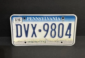 Pennsylvania Nummernschild — DVX - 9804 WWW.STATE.PA.US — HANDWERKSQUALITÄT - Bild 1 von 22