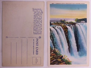 LN Niagara Falls Goat Island Postcard Albertype - Picture 1 of 1