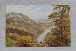Postcard Wyndcliff nr Chepstow Artist Signed AR Quinton Unposted J Salmon #1385 - Picture 1 of 2