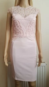 BNWT Lipsy Pink Lace Applique Silhouette Bodycon Shift Dress UK10 RRP £65 - Picture 1 of 8