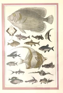 A. Fullarton & Co. London & Edinburgh 1853 antiker handfarbiger gravierter Druck - Bild 1 von 2