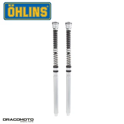 Kit Cartuccia SUZUKI GSX-R 1000 2017-2018 OHLINS anteriore FKR 105 Foto 1 de 4