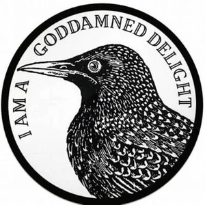Raven Crow Bird Black large pendant 20" necklace chain men women gift Jewelry - Picture 1 of 8
