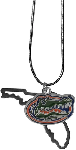 Florida Gators NCAA  women ladies state necklace with 2 charms Cover
