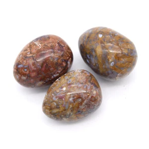 Fossilised Fern Root 3x Tumbled Stones 25x35mm - Picture 1 of 2
