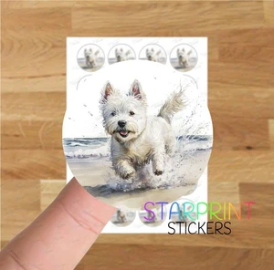 Westie Terrier Strand Aufkleber/Umschlag Siegel, 24 runde Etiketten A4 Bogen Hund - Bild 1 von 2