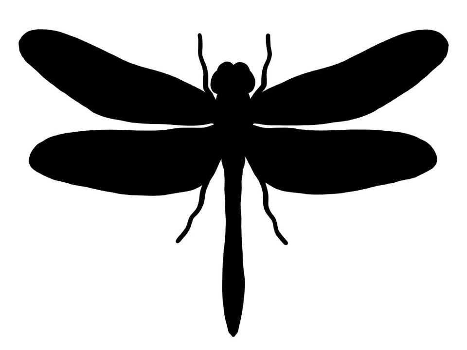 Dragonfly Sticker - Buy 1 Get 1 Free Dragonfly Decal - Image 1 of 2