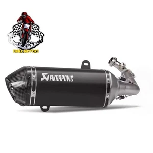 Auspuff komplett Vespa Sprint Primavera 250/300 von 2008 bis 2024 3V Handarbeit - Bild 1 von 4
