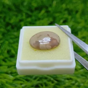 6.5 Carats Oval Cabochon Shape Greyish Brown Color Agate Gemstone From Pakistan - Picture 1 of 4