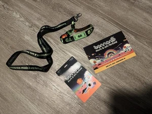 4 DAY GA PASS Tickets For Bonaroo 2025 OVERNIGHT UPS SHIPPING - Picture 1 of 1