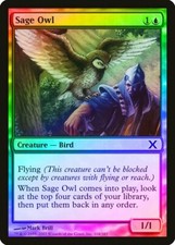 Sage Owl FOIL 10th Edition HEAVILY PLD Blue Common MAGIC GATHERING CARD ABUGames