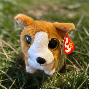 Ty Beanie Babies Colin el perro Corgi 26 de junio ojos brillantes nuevo con etiquetas - Imagen 1 de 6