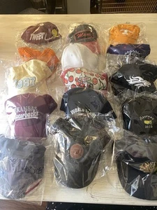 Lot if 15 Baseball Caps Various Themes and Colors Some New - Picture 1 of 8