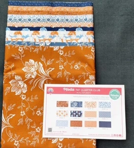 DENIM & DAISIES by Fig Tree & Co for Moda - 12 Fat Quarter Bundle - Picture 1 of 1