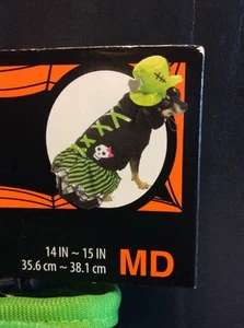 Dog Green Frankenstein Witch Halloween Costume - New Size MD - Picture 1 of 6