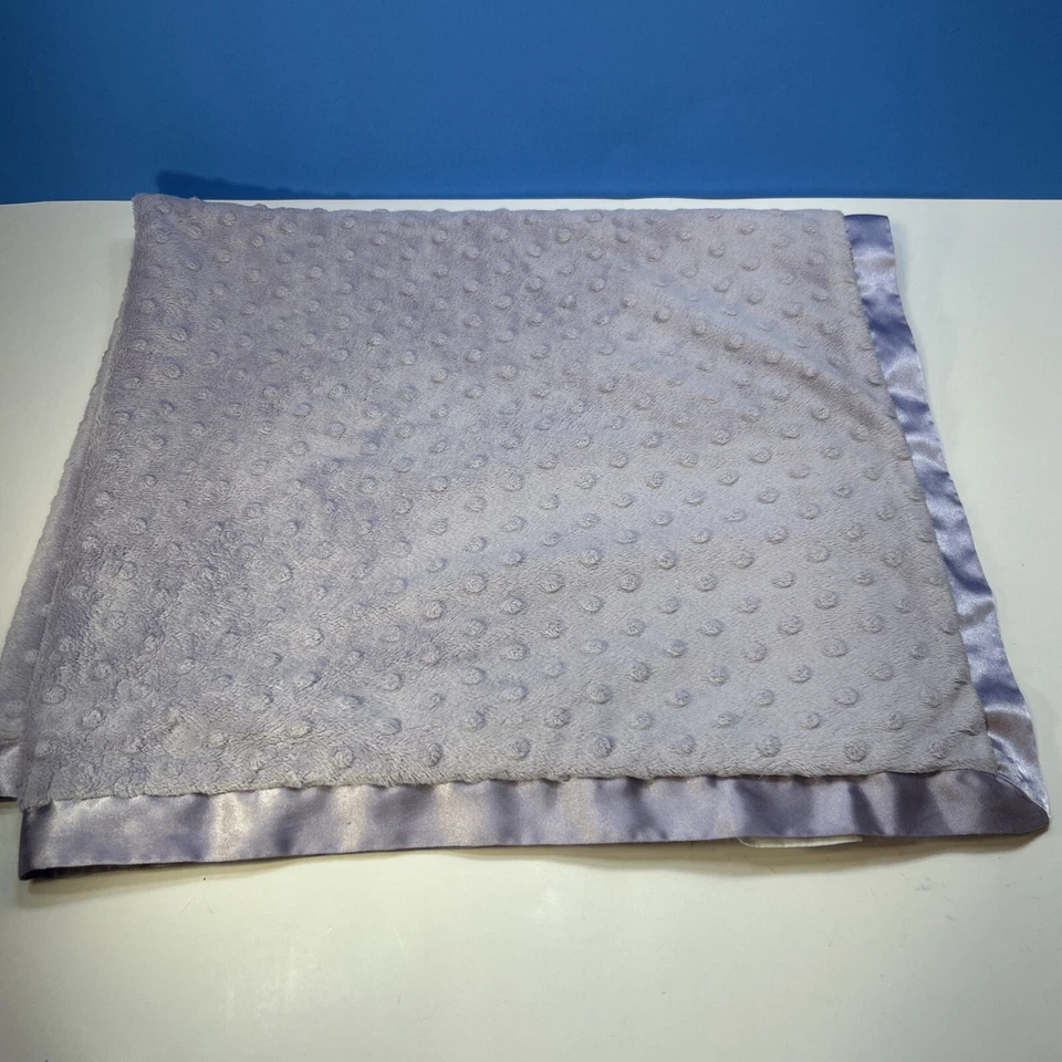 Manta bebé Cocalo púrpura Minky punto satinado 28” X 31” LEER Foto 1 de 4