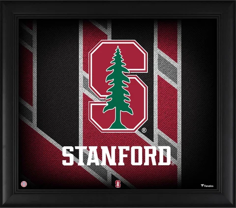 Stanford Cardinal Framed 15" x 17" Team Threads Collage Cover