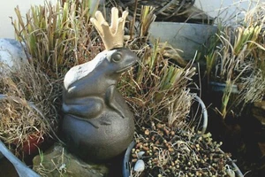 Wasserspeier Froschkönig Gusseisen Pumpe Teich Brunnen Miniteich Figur H 24cm - Bild 1 von 4