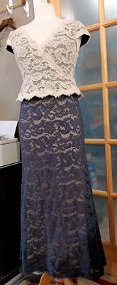 Adrianna Papell Lace Overlay Dress Peplum Mother Wedding PROM V-neck Petite Sz 8 - Image 1 of 4