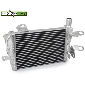 R1250GS 1250RT 2019-2024 Left Engine Radiator For BMW R1200RT R1200GS 2012-2018 - Picture 1 of 8