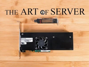 Radian RMS-200/8G 8GB DDR3 NVMe PCIe 3.0 Beschleuniger für ZFS Slog Device Cache - Bild 1 von 4
