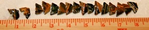 16 Tigerauge Steine Craved Little Fish Perlen - Bild 1 von 3