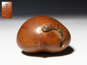 NETSUKE INRO SAGEMONO OIJME EDO JAPONÉS ANTIGUO TALLADO MADERA INSECTO CASTAÑO - Imagen 1 de 8