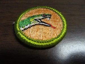 Reptile Study Merit Badge, Clear Waffle Plastic Back     IN4 - Picture 1 of 2
