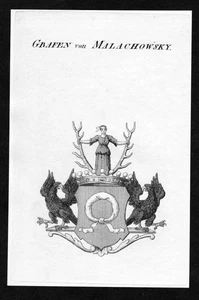 ca. 1820 Malachowski Wappen Adel coat of arms Kupferstich antique print heraldry - Bild 1 von 1