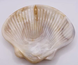 Vintage Plastic Clam Shell Shaped Trinket/Soap Dish - Picture 1 of 6