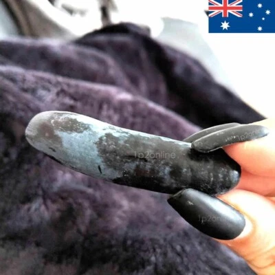 120 Black Willy Finger Grapes Seeds Tree Vine RARE grape Seed Fruit Heirloom - Image 1 of 3