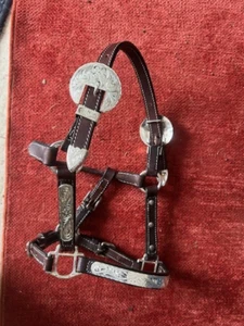 WESTERN Show Halter puledro/pony pelle incisa bordo argento NUOVO - Foto 1 di 3