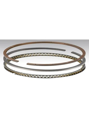 Total Seal GP Piston Ring Set 4.045 Bore 1/16 1/16 3/16 (CR3690GP-45) - Image 1 of 4