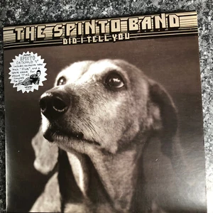 2No Limited edition 7" singles one etched and Poster The Spinto Band Did I Tell - Picture 1 of 6