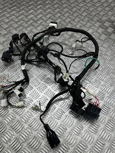 Cablaggio cablaggio Lexmoto Tempest 125 2023 2022 - 2024 - Foto 1 di 6