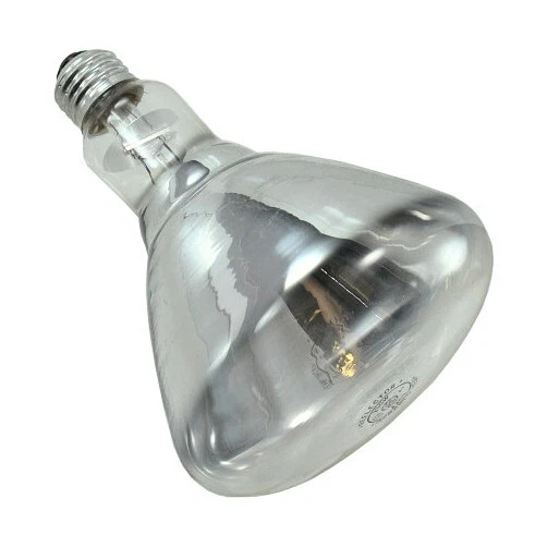 250 Watt Heat Bulb - Image 1 of 1