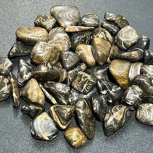 Piedras fósiles de estromatolita caídas (por pieza o libra) al por mayor - Imagen 1 de 3