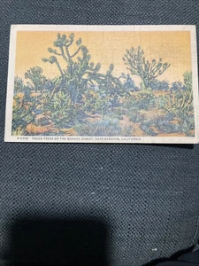 Vintage farbige Postkarte Yucca Bäume in der Mohave-Wüste in der Nähe von Barstow Kalifornien - Bild 1 von 6