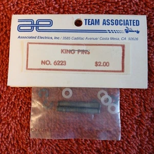 Team Associated 6223 1.02" Front Outer Hinge Pins Steel Silver RC10 T DS 2 - Picture 1 of 1