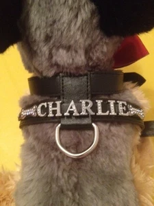 Personalised Dog Harness different colours with diamante / rhinestone / charms - Picture 1 of 6
