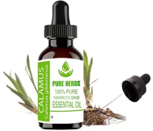 Pure herbs Calamus 100% Pure & Natural Calamus Gibbsianus Essential Oil - Picture 1 of 36