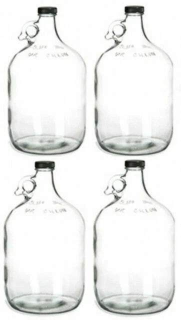 Home Brew Ohio Glass Water Bottle w/ 38 mm Polyseal Cap, 1 gal - Clear, Pack of 4