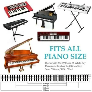 Piano Note Music Keyboard Stickers 5 in 1 Universal 37/49/54/61/88 Aussie Stock - Picture 1 of 4