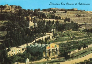 Jerusalén Israel, Iglesia de Getsemaní, Iglesia de Todas las Naciones, Postal de Colección - Imagen 1 de 2