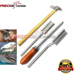 Set Of 2 Farrier Kit Equine Dental Float Rasp and Horse Hoof Nail Driving Hammer - Picture 1 of 4