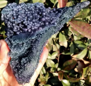 485g Natural Botryoidal Chalcedony Starlight Purple Grape Agate Specimen ie1908 - Picture 1 of 14
